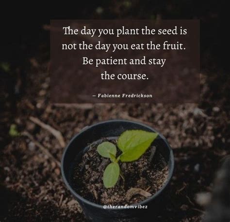 Planting Seeds Quotes To Inspire You To Be Successful The Random Vibez