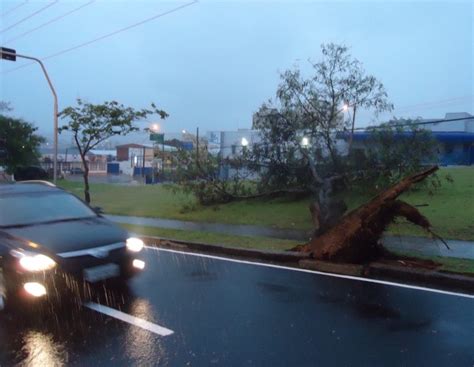 G1 Chuva Forte Alaga Ruas E Derruba árvores Em Sorocaba Sp