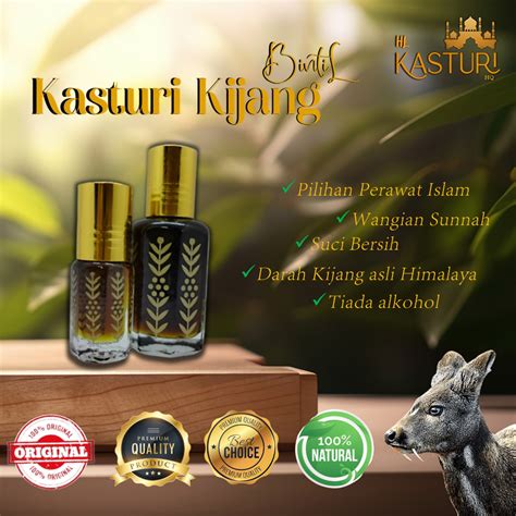 KASTURI KIJANG BINTIL Minyak Wangi Kasturi Kijang Bintil Asli