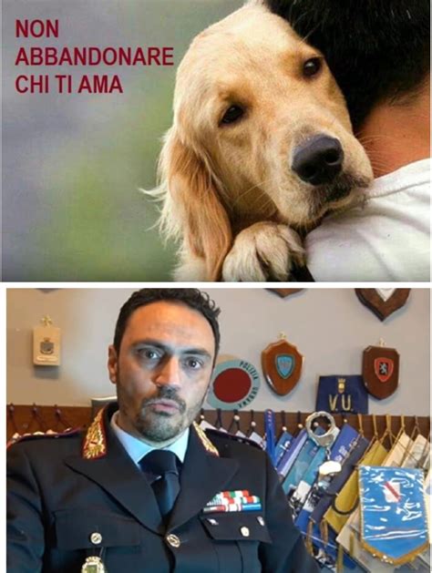 Campagna Di Sensibilizzazione Contro L Abbandono Dei Cani Ce Lo Spiega