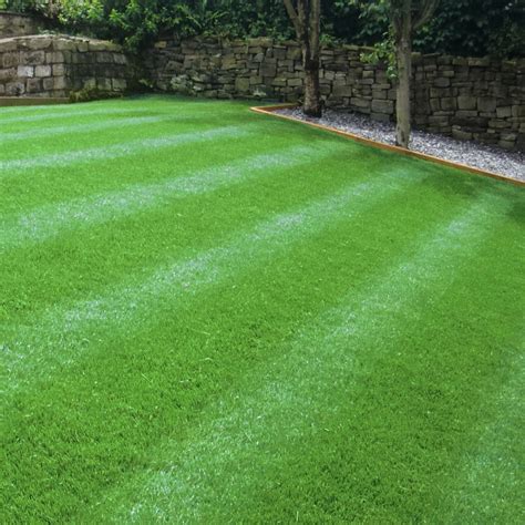 Groundmaster Hardwearing Tough Garden Premium Back Lawn Grass Seed Various Sizes Ebay