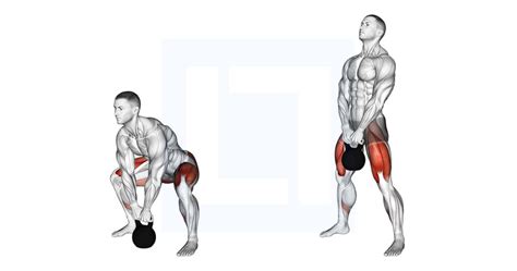 Smith Deadlift - Guide, Benefits, and Form