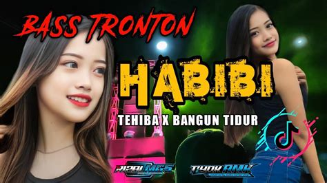 Dj Habibi X Tehiba Viral Tiktok Terbaru Bass Beton Cocok Untuk