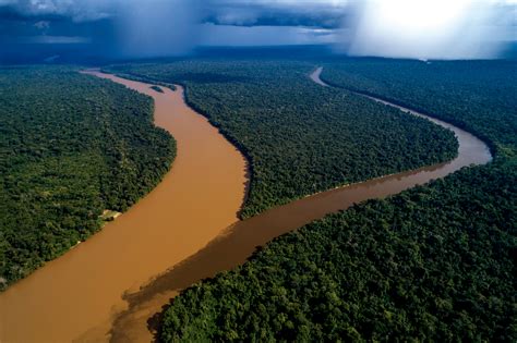 Exposição Fotográfica Biomas 25 Anos Wwf Brasil Wwf Brasil