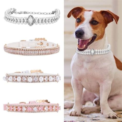 Haustier Halskette Hunde Strass Halsband Kristall Diamant Anh Nger