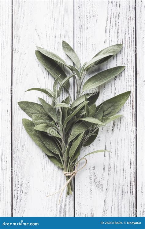 Fresh Sage Leaves On White Wooden Background Vertical Flat Lay