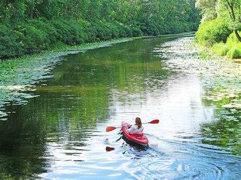 Premium Photo | A girl dreamily floats her kayak down a river surrounded by river plants A ...