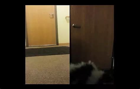 Pizza Guy I Get Naked For Him Amateur Porn XHamster