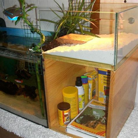 Turtle Tank Setup Ideas