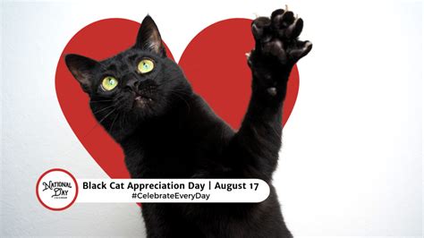 AUGUST 17 2024 NATIONAL PINEAPPLE JUICE DAY BLACK CAT APPRECIATION