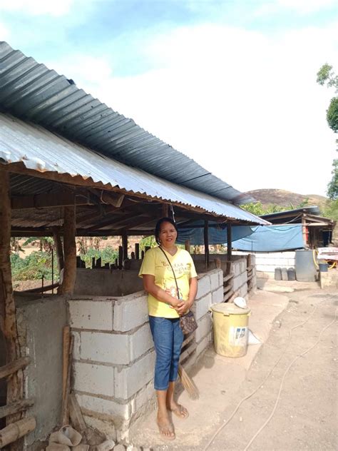 Piggery Business Plan Philippines 8