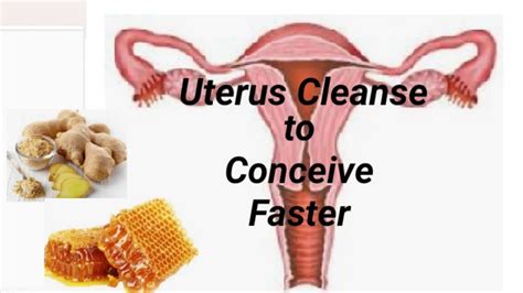 How To Clean Your Uterus Naturally And Conceive Faster Youtube