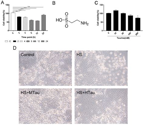 Effects Of Taurine Supplementation On The Cell Viability And Cell