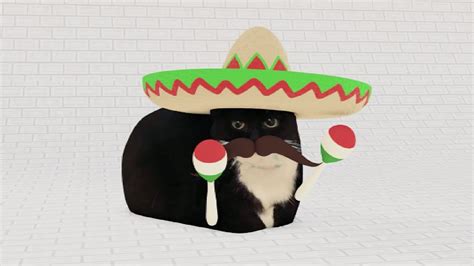 Maxwell The Cat Arrives In Mexico Un Dos Tres Cuatro Mexican Cat