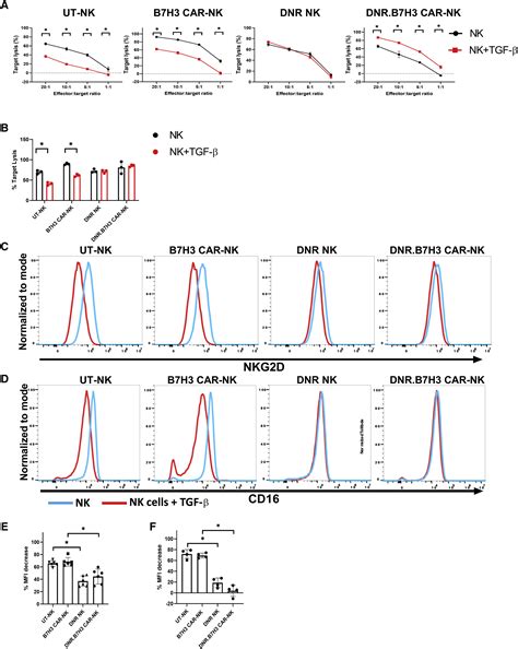 Co Transducing B H Car Nk Cells With The Dnr Preserves Their Cytolytic