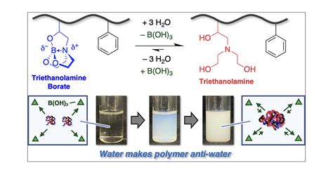 Lewis Adduct Dissociating Hydrolysis Of Boratrane For Water Triggered