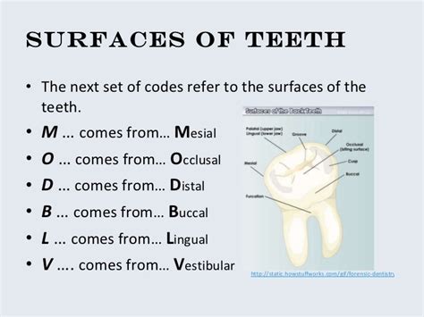 Dental reception