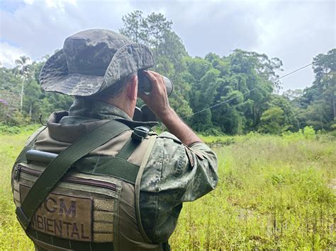 Guarda Ambiental de Itaquá flagra corte ilegal de árvores e aplica