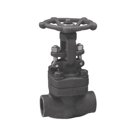 Forged Globe Valves BC Technology Pte Ltd SG