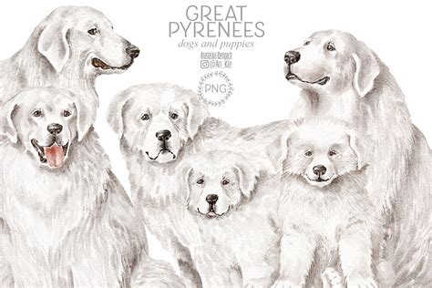 Great Pyrenees Dogs - Design Cuts