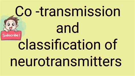 Cotransmission And Classification Of Neurotransmitters Pharmacology