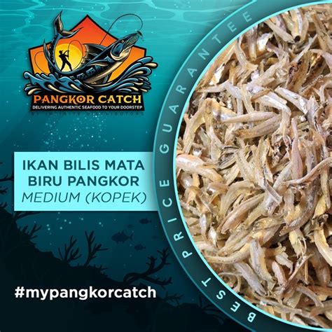 Premium Pangkor Ikan Bilis Mata Biru Kopek Shopee Malaysia