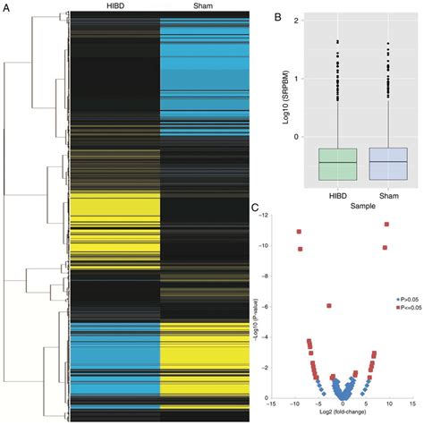 Altered Expression Profile Of CircRNAs In The Hippocampus Following