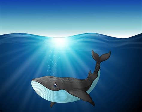 Premium Vector Cute Whale Cartoon On The Sea