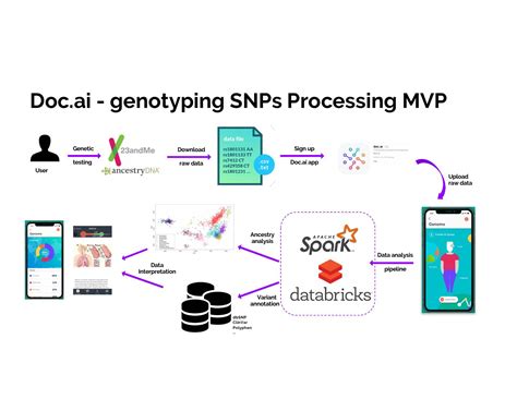 Accelerating Genomics Snps Processing And Interpretation With Apache Spark