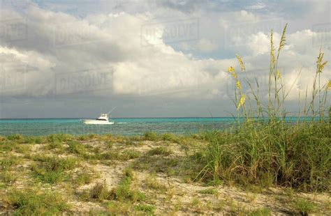 Beaches of Bimini , Bimini, Bahamas - Stock Photo - Dissolve