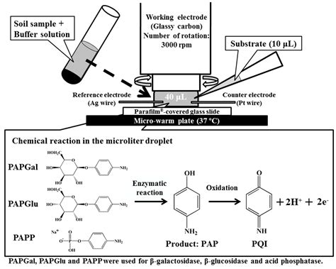 Sensors Free Full Text Hydrodynamic Voltammetry As A Rapid And Simple Method For Evaluating