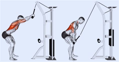 cable pec exercises  bigger  defined chest