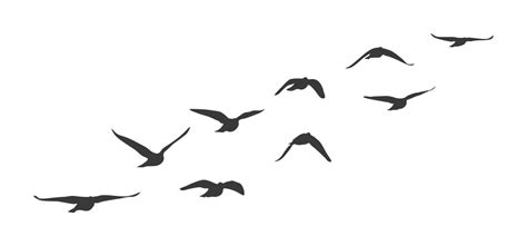 Flying Bird Clipart Vector Images (over 8,100)