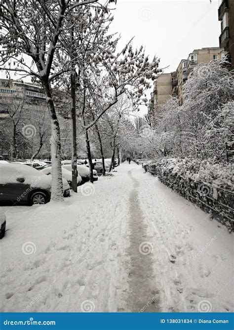 Bad Winter Weather - Fresh Snow in the City Editorial Stock Image