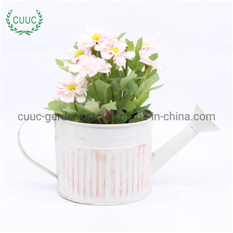 Modern Style Watering Can Mini Iron Watering Bucket For Garden China Flower Pot And Plant Pot