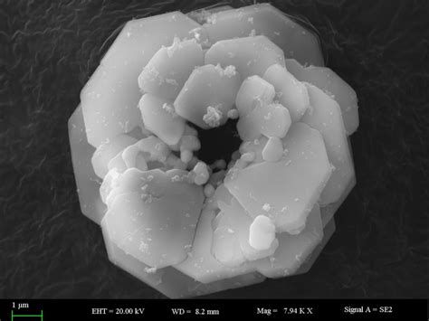 How to interpret the parameters of SEM (Scanning Electron Microscope ...