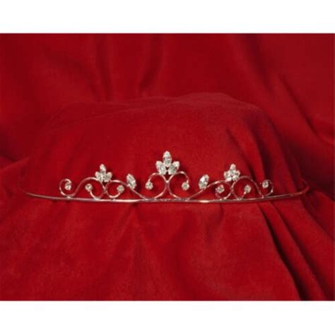 Sunnywood 3832 1 Rhinestone Tiara 1 Fred Meyer