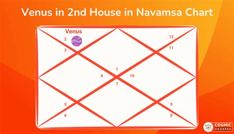 Venus In Navamsa Chart Effects In All 12 Houses Explained