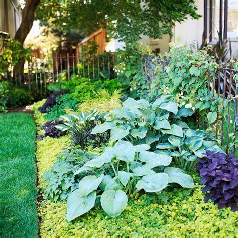 Shade Garden Design Ideas That Prove You Can Grow Colorful Plants