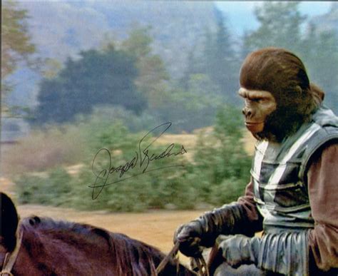 Archives Of The Apes: Planet Of The Apes: The TV Series (1974) Part 29