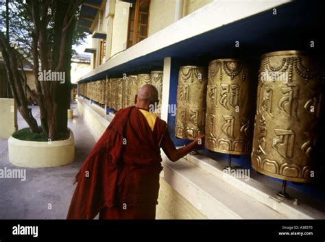 Buddhist monastery Dharamshala Himachal Pradesh India Stock Photo - Alamy