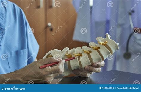 A Neurosurgeon Pointing At Lumbar Vertebra Model In Medical Off Stock