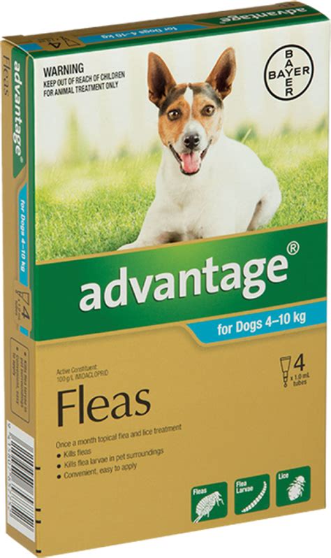 Advantage Flea Treatment For Dogs 4 10kg Reviews Black Box