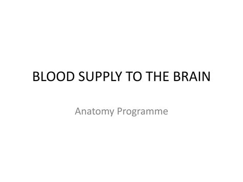 Solution Neuroanatomy Blood Supply To The Brain Studypool