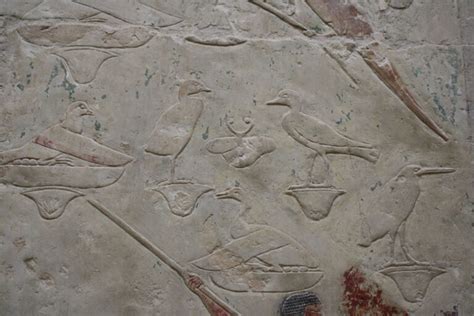 Images Of Birds In The Tombs At Saqqara Egypt Jewels Travel Adventures