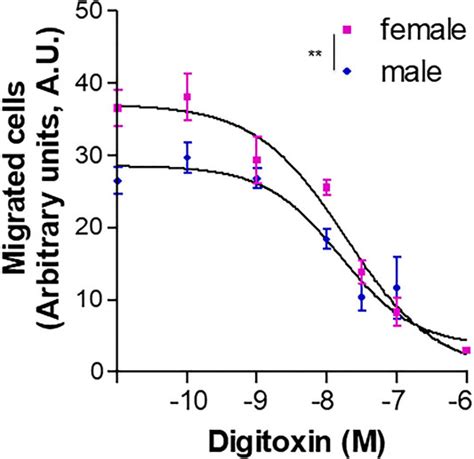 Frontiers Sex Differences In The Pro Angiogenic Response Of Human