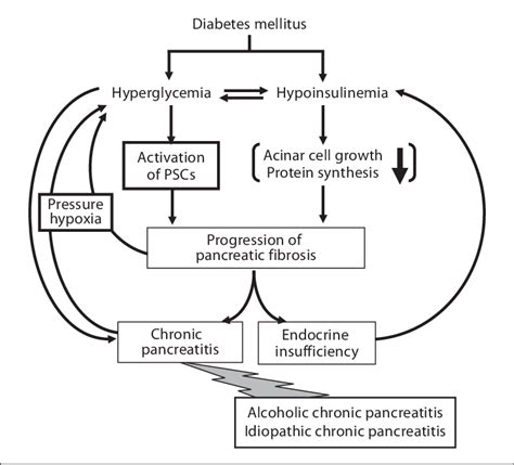 Relationship Between Diabetes Mellitus And Chronic Pancreatitis