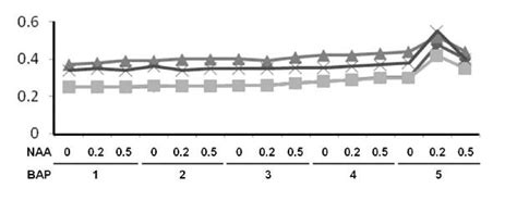 Effects Of Different Concentrations Of Growth Regulators Bap And Naa On