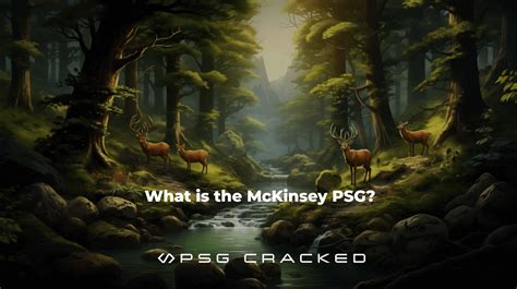 What Is The Mckinsey Psg Psg Cracked