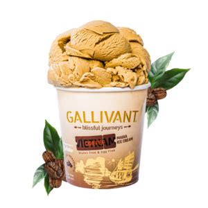 Flavors Gallivant Ice Creams